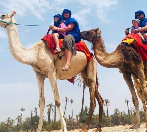 Paseo en Camello por el Palmeral de Marrakech