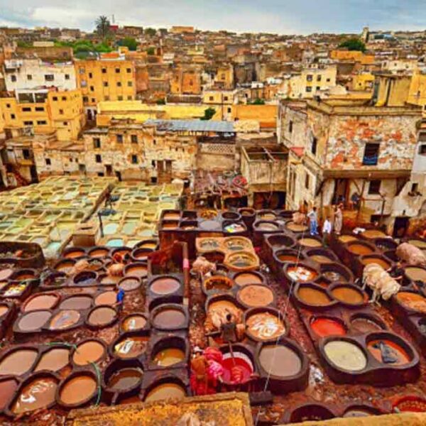 3-Day Imperial Connection: Marrakech to Fez via the Kasbah Road