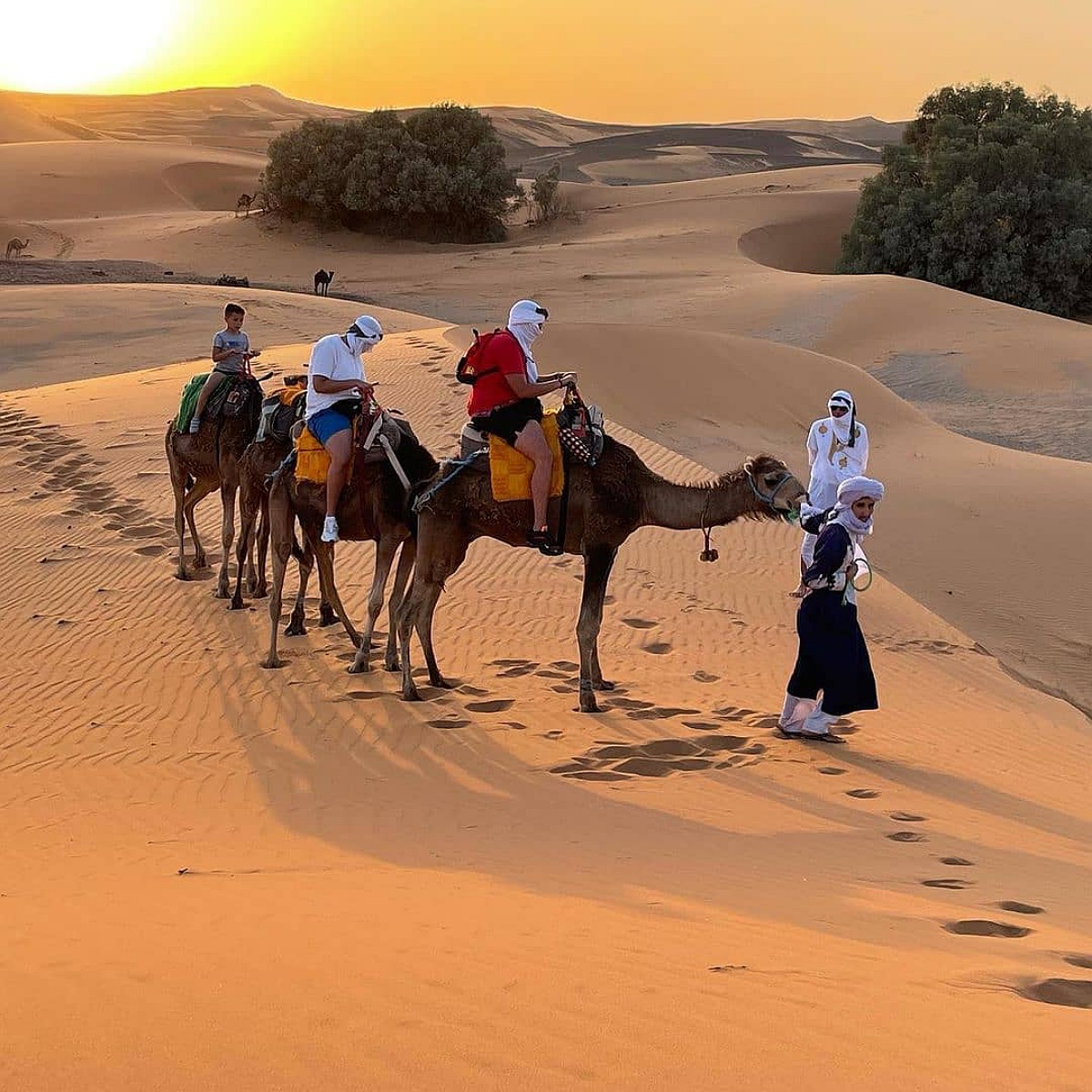 5 Day Sahara Sands & Atlas Mountains Loop from Casablanca